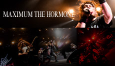 MAXIMUM THE HORMONE