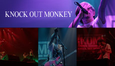 KNOCK OUT MONKEY